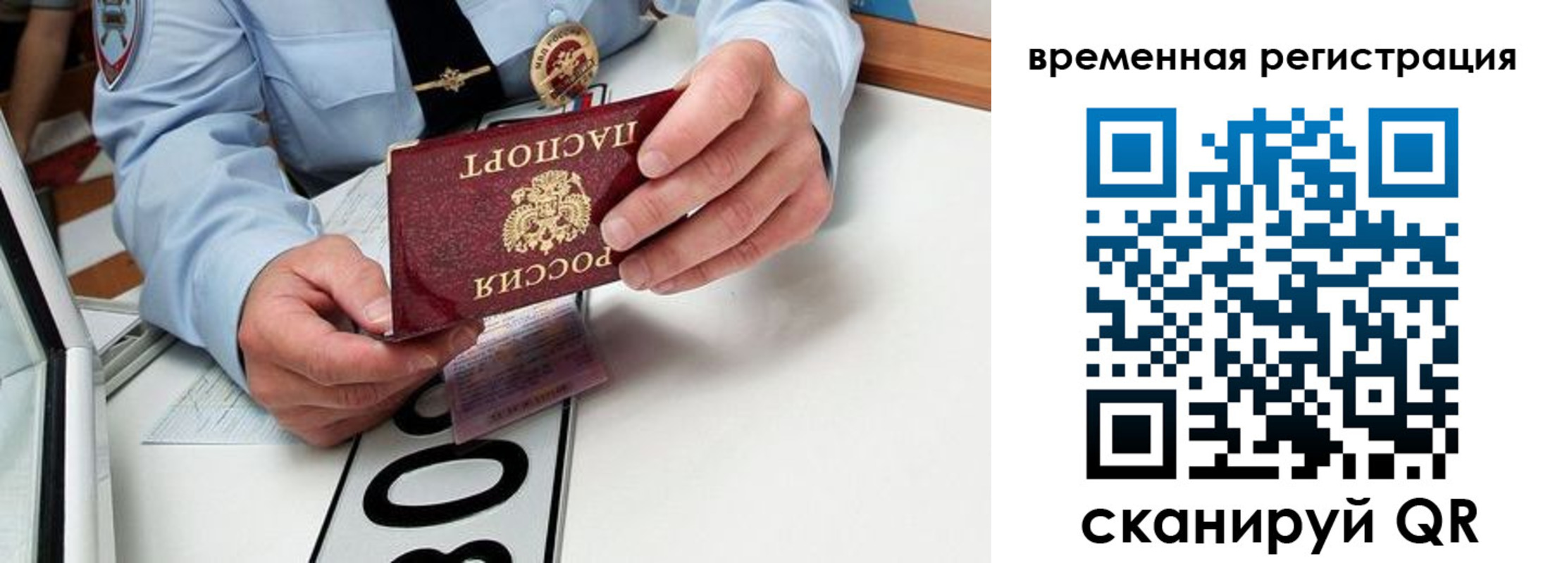 прописка гарантия в Рузе